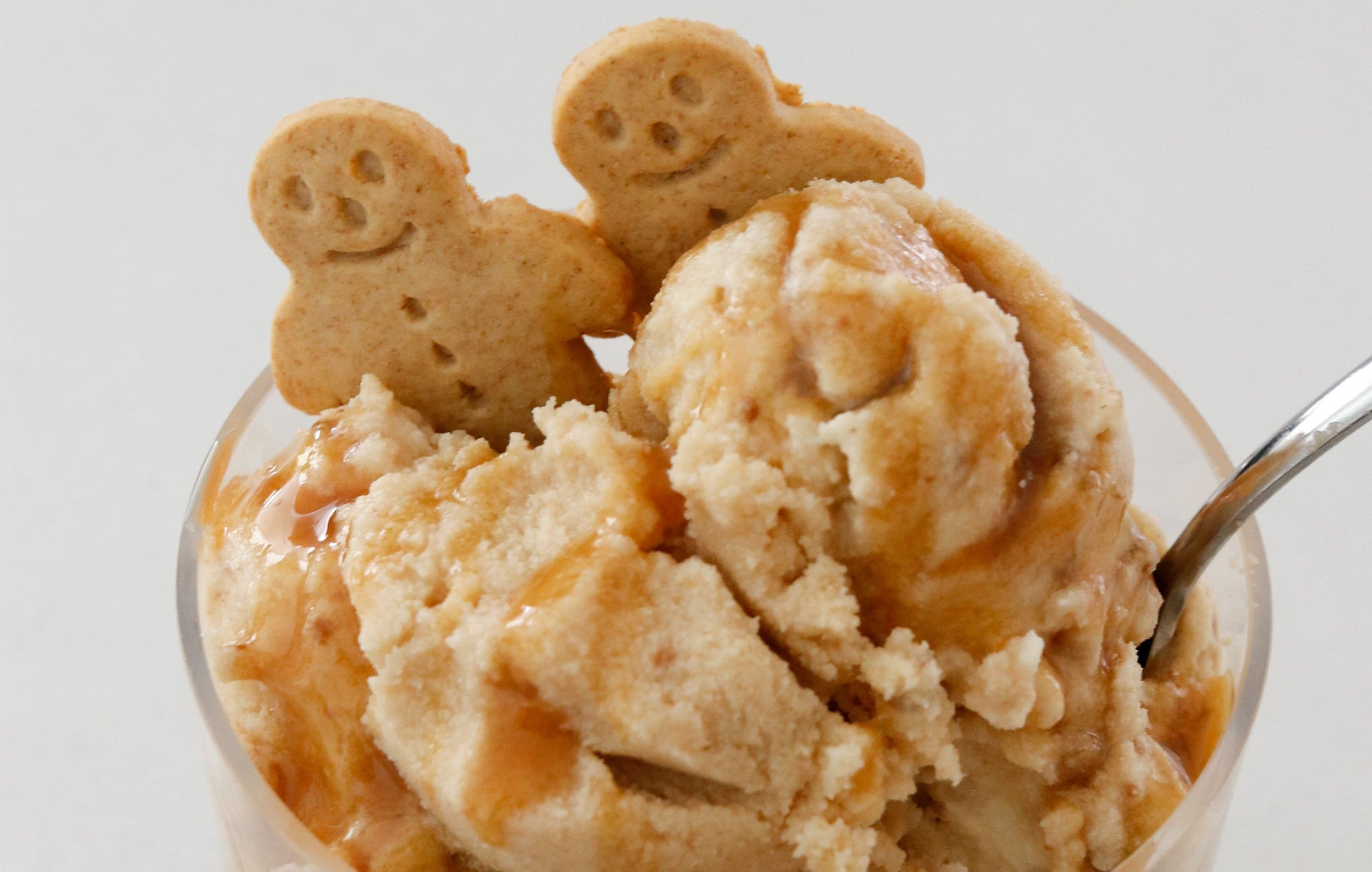 Gingerbread Flavoured Ice Cream – Ninja Kitchen Australia