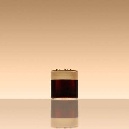 Ninja Luxe Café Premier Espresso Machine